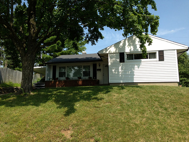 grassy hill, large tree, white siding