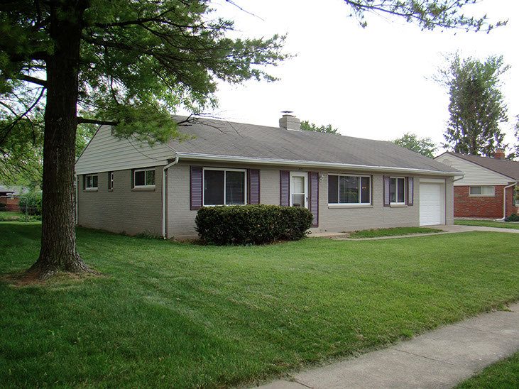 grass, tree, bush, grey brick, purple shutters